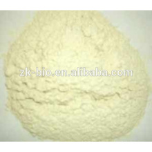 High quality organic Rice Protein Isolate Food Grade powder